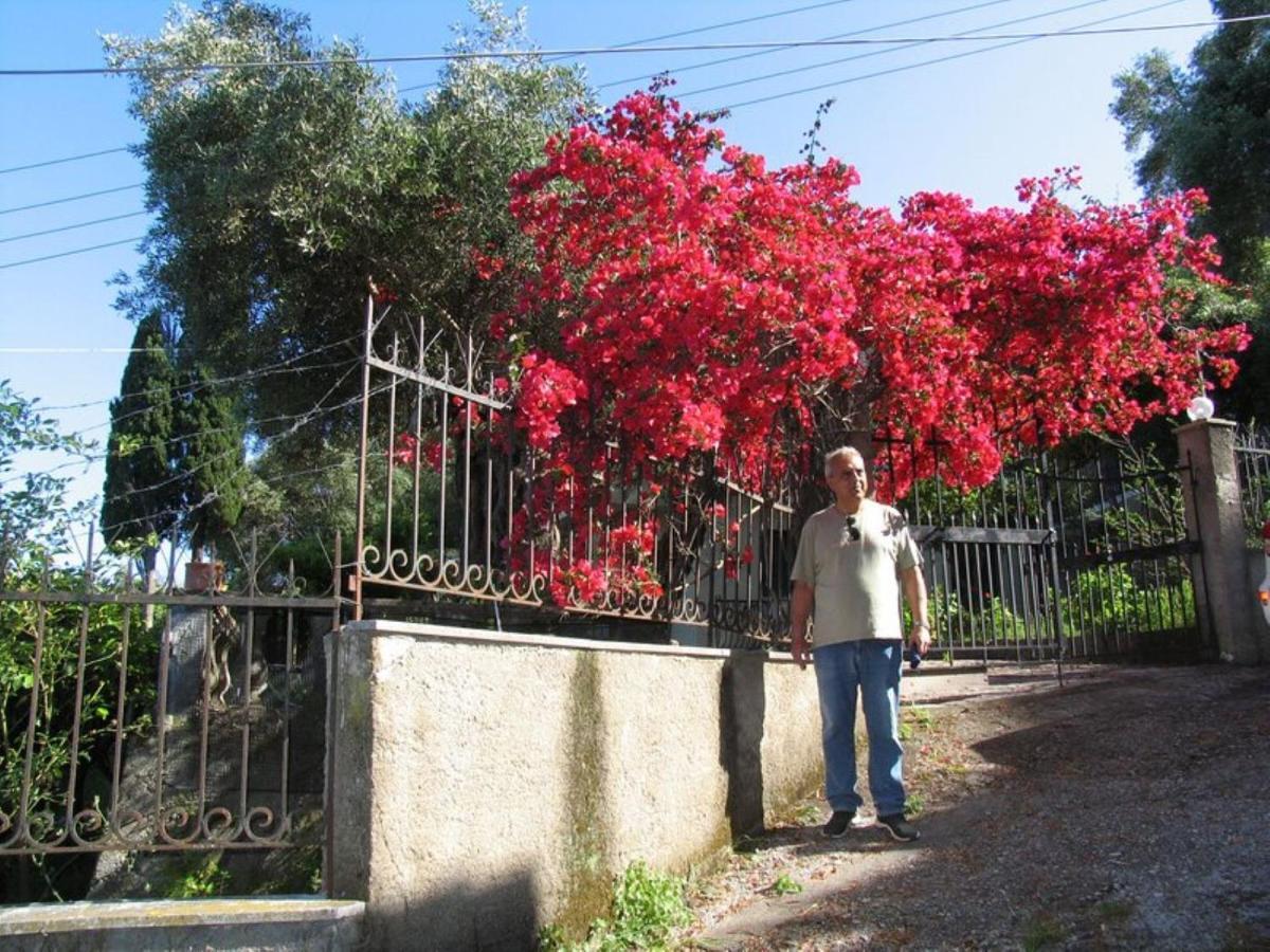 Villa Margarita Agios Ioannis Peristerion Zewnętrze zdjęcie