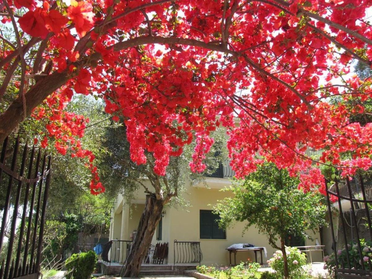 Villa Margarita Agios Ioannis Peristerion Zewnętrze zdjęcie